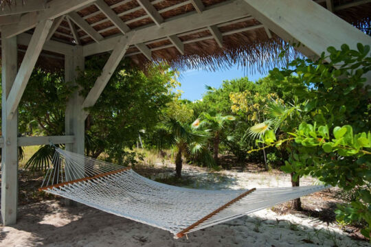 Hammock