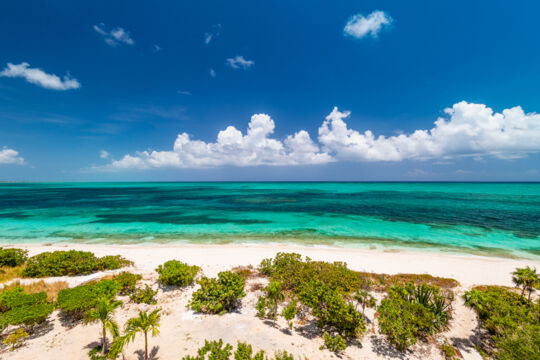 View of the ocean from the dune at Smith's Reef