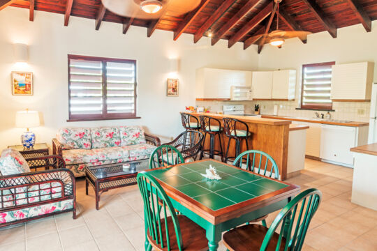 Dining table and kitchen