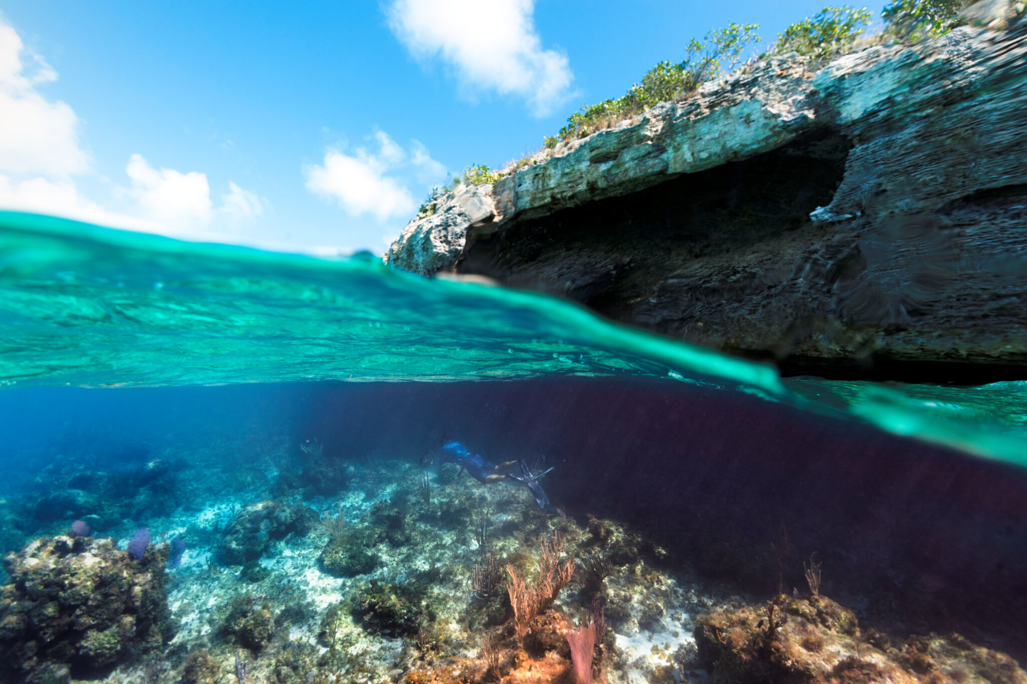 Explore the Wonders of Grace Bay Beach Snorkeling: A Complete Guide