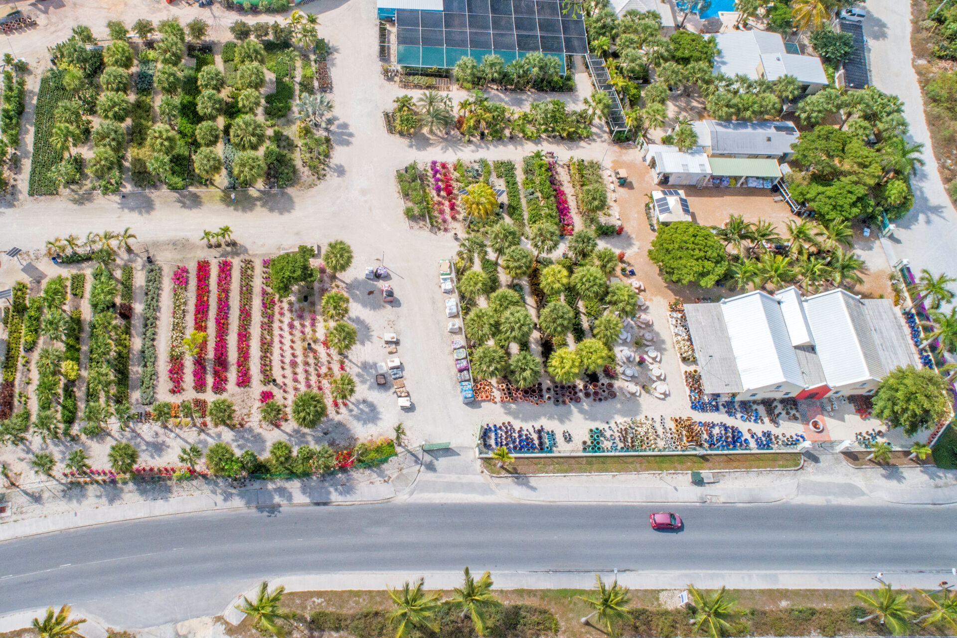 Sunshine Nursery Visit Turks and Caicos Islands