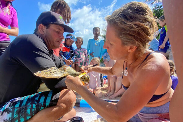 Turtle tagging in the Turks and Caicos