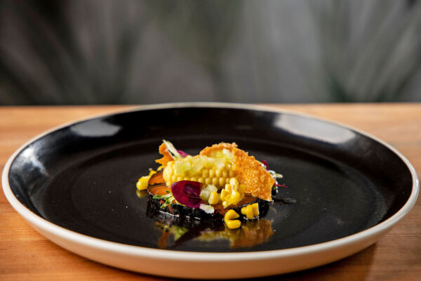 Gastronomic plate of cured salmon and popcorn dressing at a fine dining restaurant.