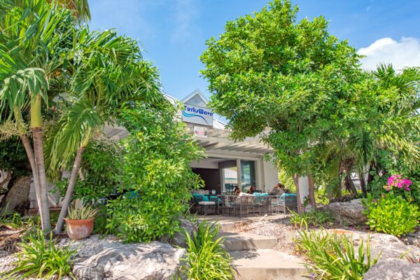 Greenery and the exterior of Turks Wave Café on Providenciales, Turks and Caicos. 