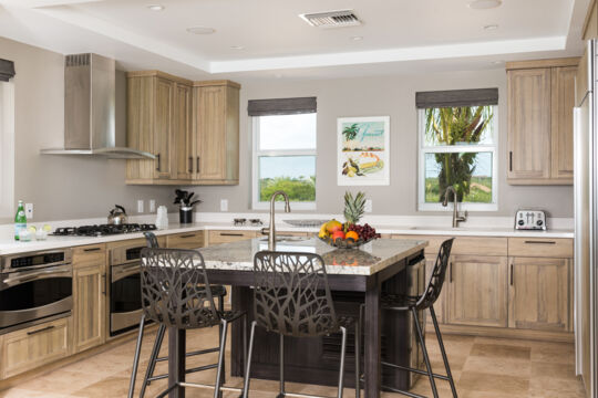 Kitchen interior