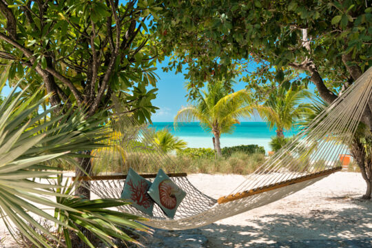 Hammock under trees at Sapodilla Bay