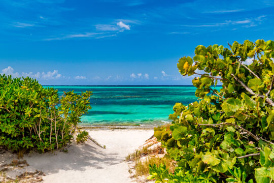 Beach path